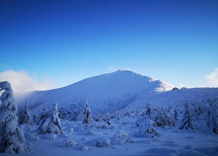 Triventi Mountain Residence Apartament Sunrise
